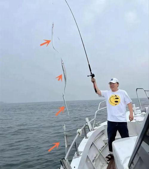 钓鱼爆料视频大全最新,最新爆料视频大全,精彩瞬间一网打尽! 第3张 钓鱼爆料视频大全最新,最新爆料视频大全,精彩瞬间一网打尽! 第3张