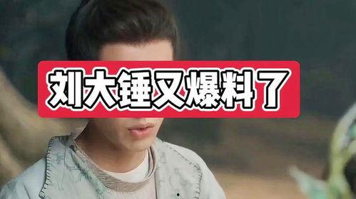 八卦爆料刘大锤视频全集,刘大锤视频全集深度解析  第1张