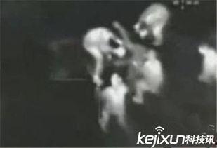 俄罗斯爆料事件视频大全,视频大全深度解析